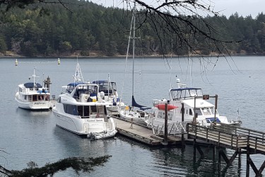 semiahmoo yacht club